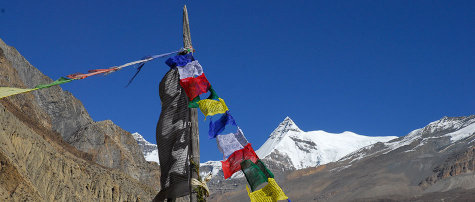 Nepal - Himalaya © www.berghexe.com